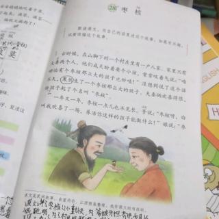 三年级语文.下册 28《枣核》