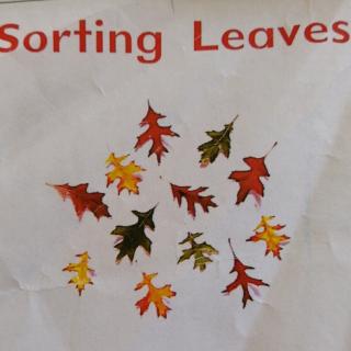 刘书畅《Sorting Leaves》