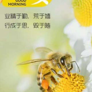 用心说 | 科比自传