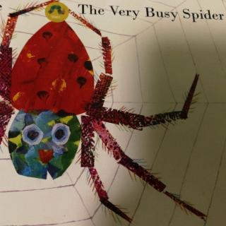 The Very Busy Spider