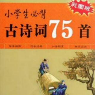 必背古诗75首     41——45