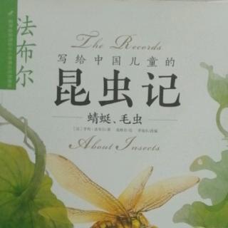 昆虫记~蜻蜓毛虫(三)