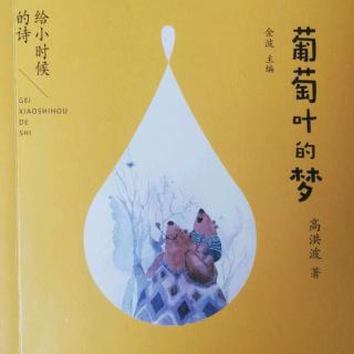 葡萄叶的梦📕（五）