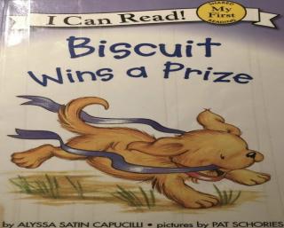 Biscuit wins a prize!
