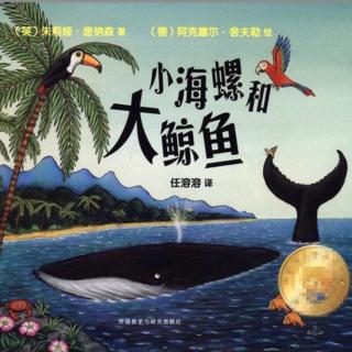🍬卢旭老师讲故事《小海螺和大鲸鱼》