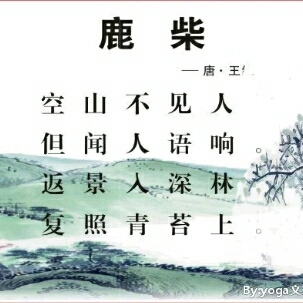 古诗词学习王维《鹿柴》3