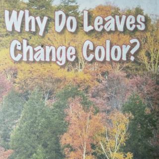 《Why Do Leaves Change Color？》