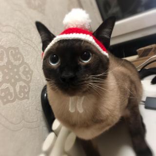 【追光者】在线收听_静止电台_荔枝