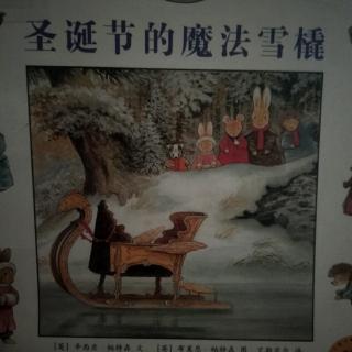 圣诞节的魔法雪橇