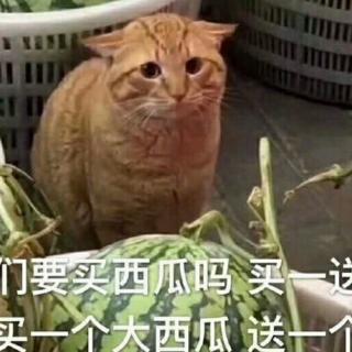 尴尬时不妨打打圆场