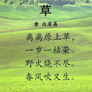 黄丞彬《草》