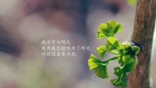 一个人真正的资本