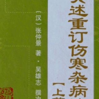 26.《吴述重订伤寒杂病论（上篇）》卷三（9）