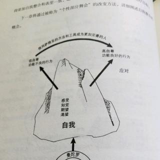 萨提亚约翰贝曼7转化的过程