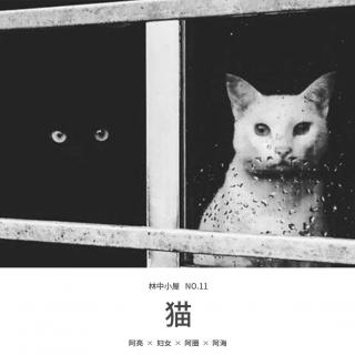 NO.11-猫SIDE-A