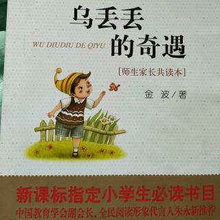 《逆风的蝶》