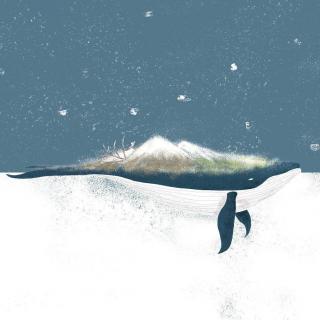 天天古筝曲——一个独特而孤独的人，一头化身孤岛的鲸