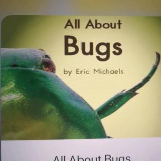 All About Bugs