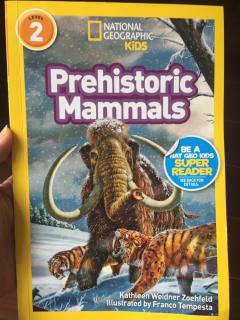 Jun28 Tiger11(Prehistoric Mannals Day3)