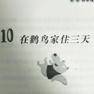 笨狼的学校生活