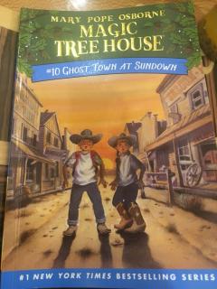 Magic Tree House 10