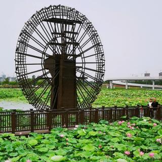 这些话，写给有些疲惫的自己