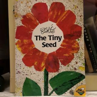 The Tiny Seed