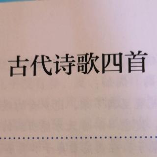 背诵古诗词