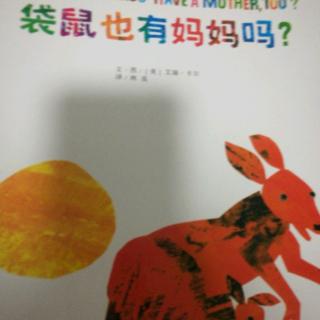 袋鼠也有妈妈吗？