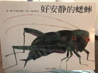 好安静的蟋蟀🦗