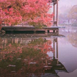 《要来了》作者：细雨闲花 主播：萧雨