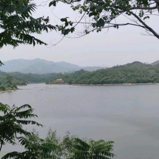 小池