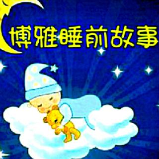 【博雅艺术幼儿园睡前故事162】《星星城堡》