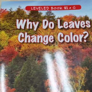 江尚玥—Why Do Leaves Change Color?