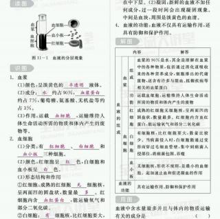 图图清11 流动的组织血液