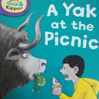 a yak at the picnic