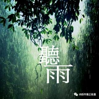《听雨》作者 峰哥丨朗读 慧觉