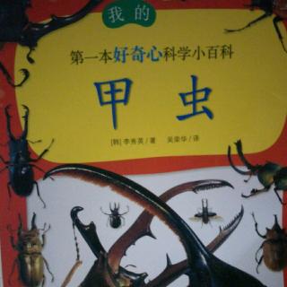 我的第一本好奇心科学小百科之甲虫