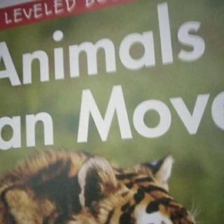 animals can move