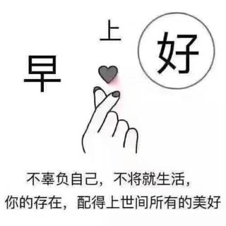 成长计划第五十五天