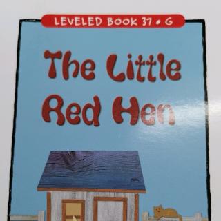 江尚玥—The Little Red Hen