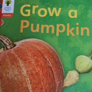 Grow a  pumpkin