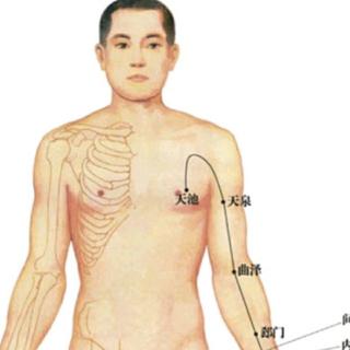 中医诊断学第三章第三部分录音