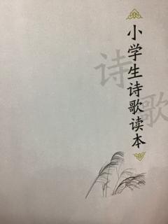 《智审凶犯》