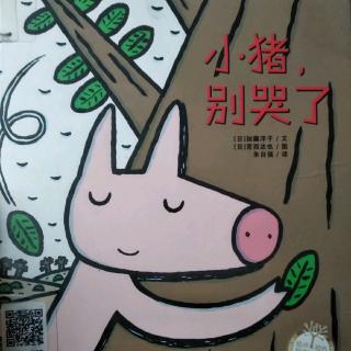 小猪🐷别哭了