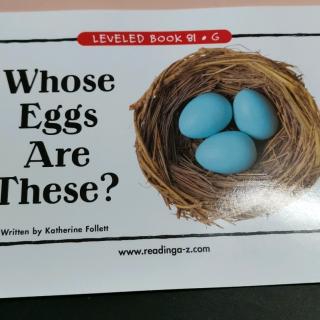 江尚玥—Whose Eggs Are These