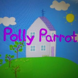 Polly  parrot