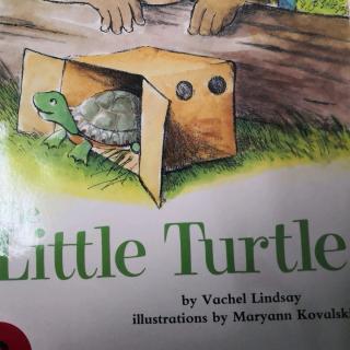 The Little Turtle