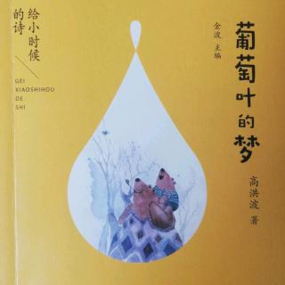 葡萄叶的梦📕（九）