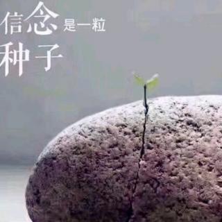 红星照耀中国  简介